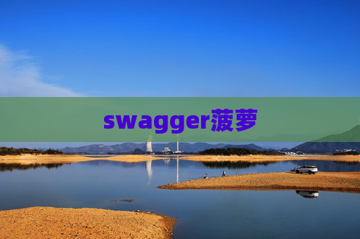 swagger菠萝
